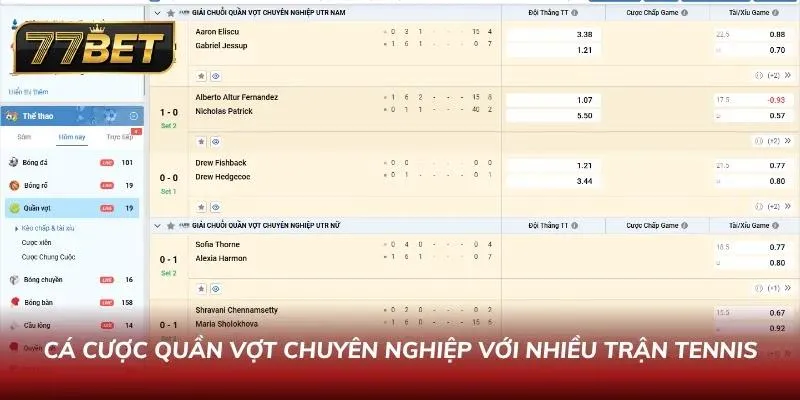 Khám Phá Thể Thao 77BET - Sân Chơi Với Tỷ Lệ Ăn Thưởng Cao Sảnh cá cược bóng chuyền và các giải đấu thể thao trong nhà trực tuyến